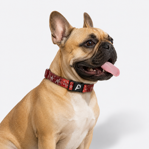 French Bulldog Cotton Padded Floral Collar