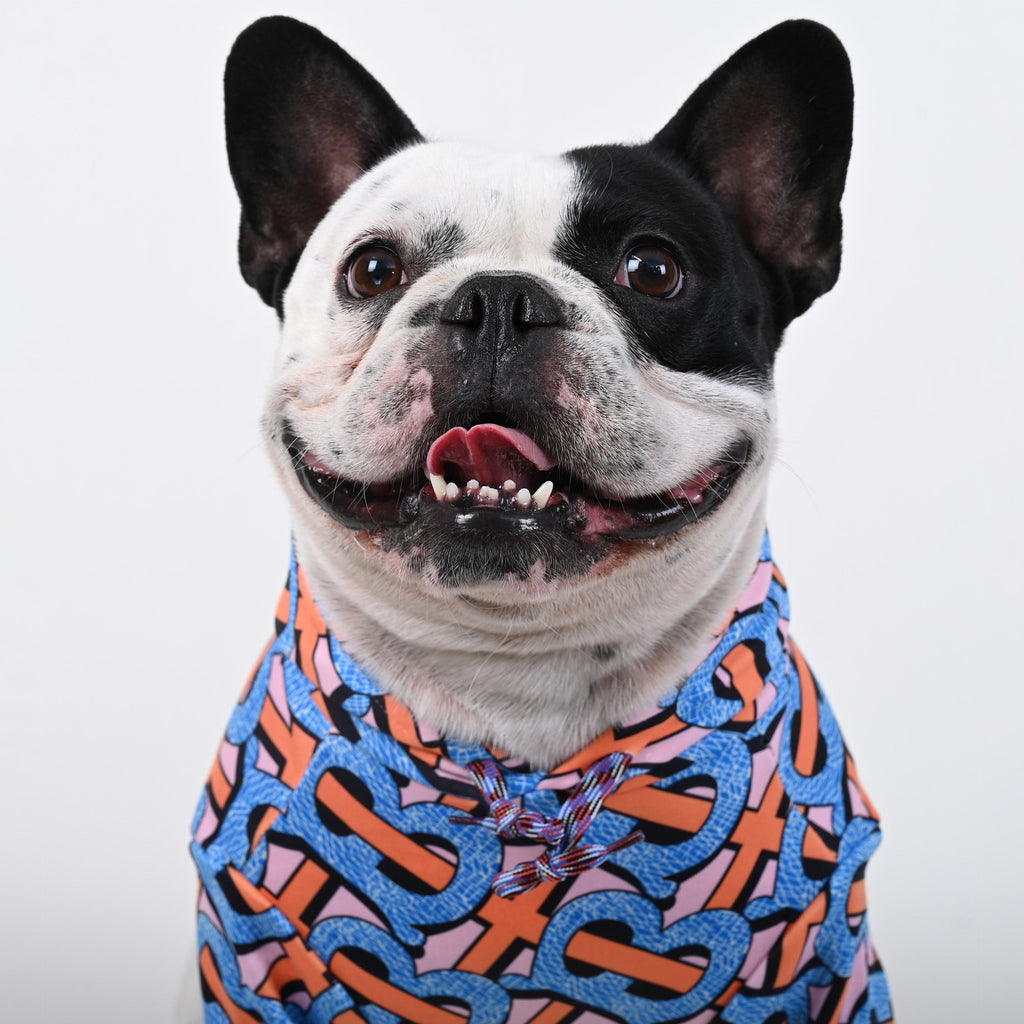 Billionaire - French bulldog Hoodie - Frenchie.us