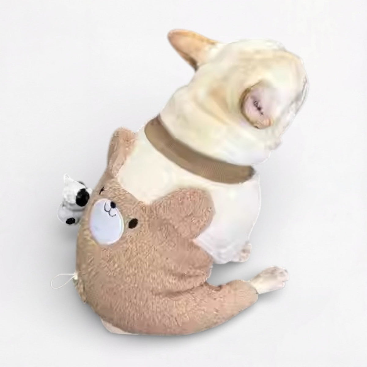 Bearly French Bulldog Coat – Plush Cotton-Padded Coat for Dogs - Frenchie.us