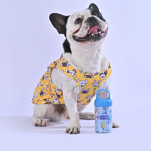 Cooling Shirt for Frenchies - Frenchie.us