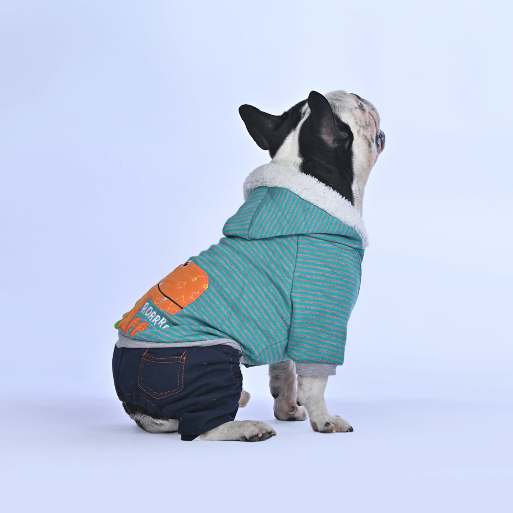 Casual Dino Hoodie - Frenchie.us