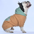 Stay Wild Hoodie - Frenchie.us