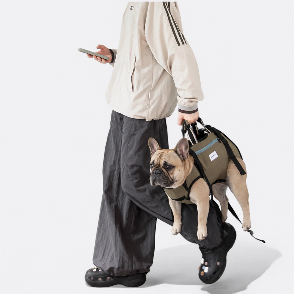 French-Bulldog-Adjustable-Backpack-Carrier.jpg