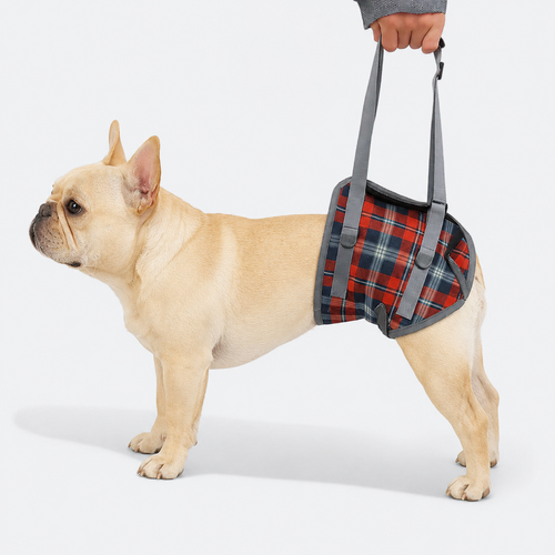 French-Bulldog-Adjustable-Lift-Harness.jpg