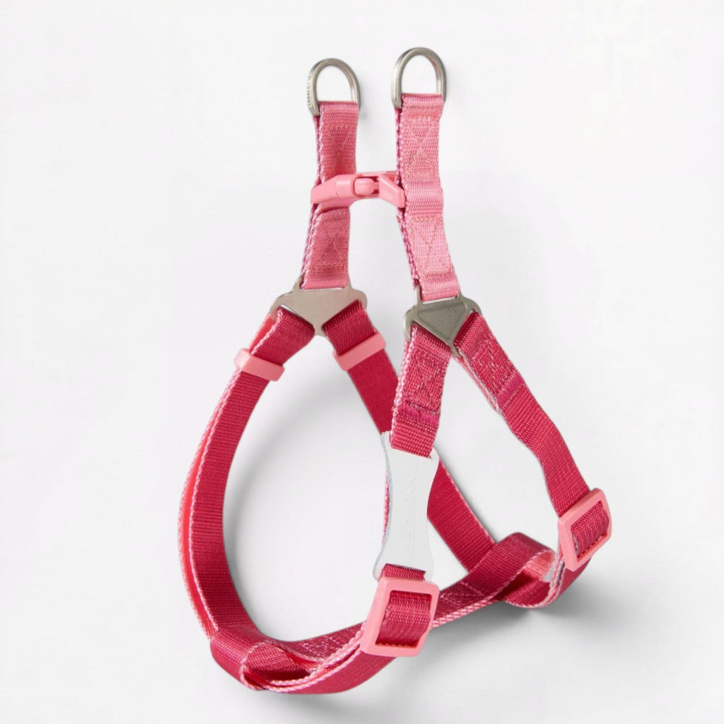 French-Bulldog-Adjustable-Step-In-Harness.jpg
