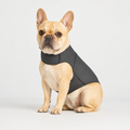 French-Bulldog-Anxiety-Relief-Vest.jpg