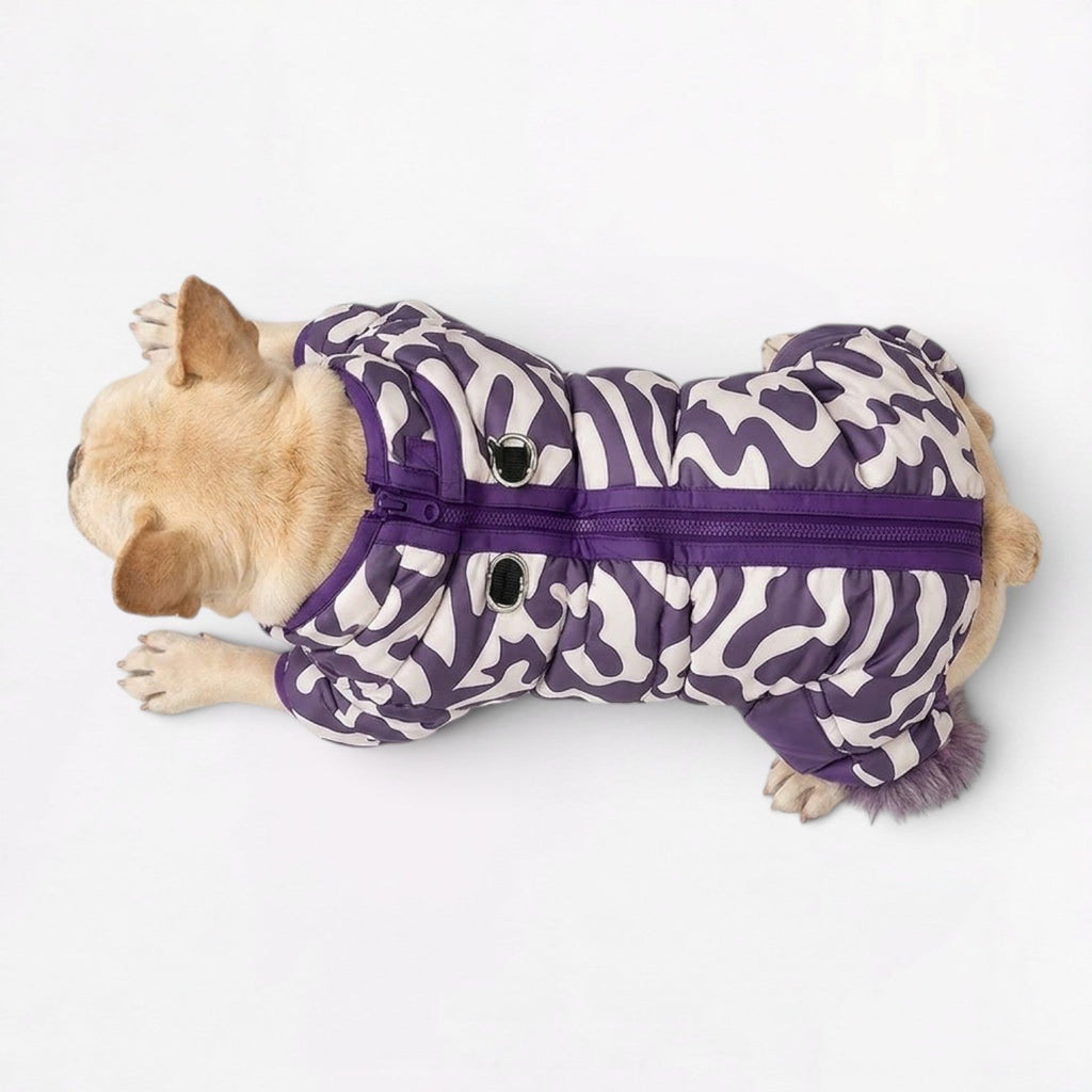 French-Bulldog-Camo-Winter-Jumpsuit.jpg