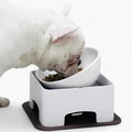 French-Bulldog-Ceramic-Elevated-Bowl.jpg