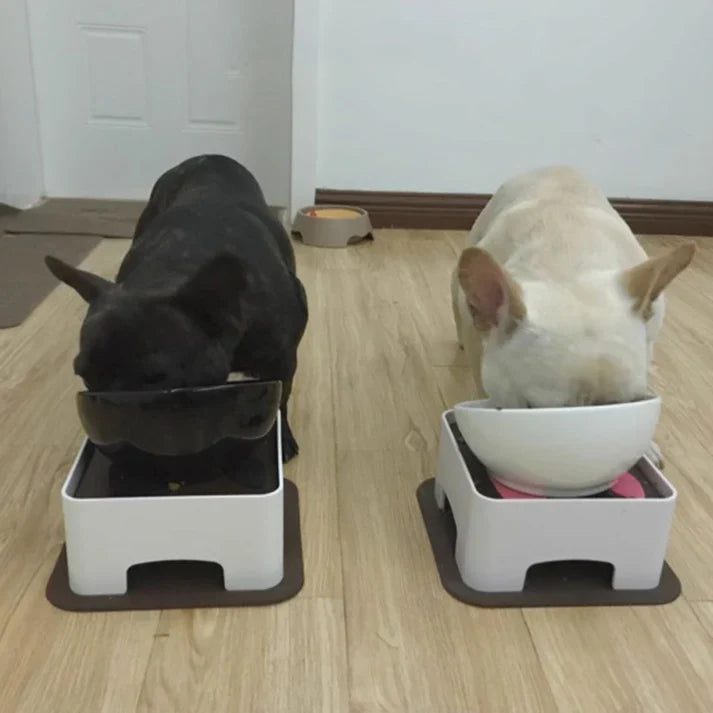 French-Bulldog-Ceramic-Elevated-Bowl.jpg
