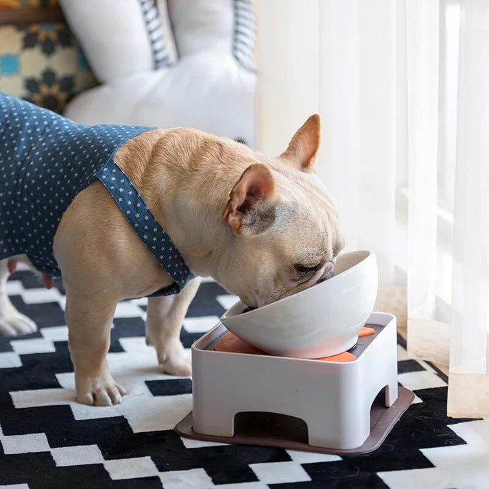 French-Bulldog-Ceramic-Elevated-Bowl.jpg