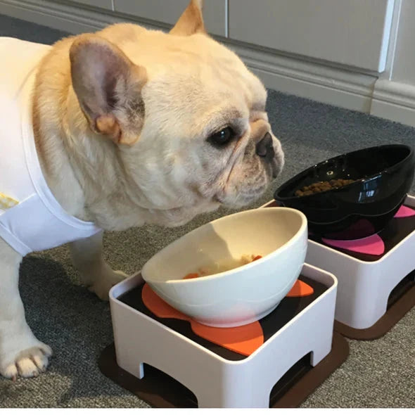 French-Bulldog-Ceramic-Elevated-Bowl.jpg