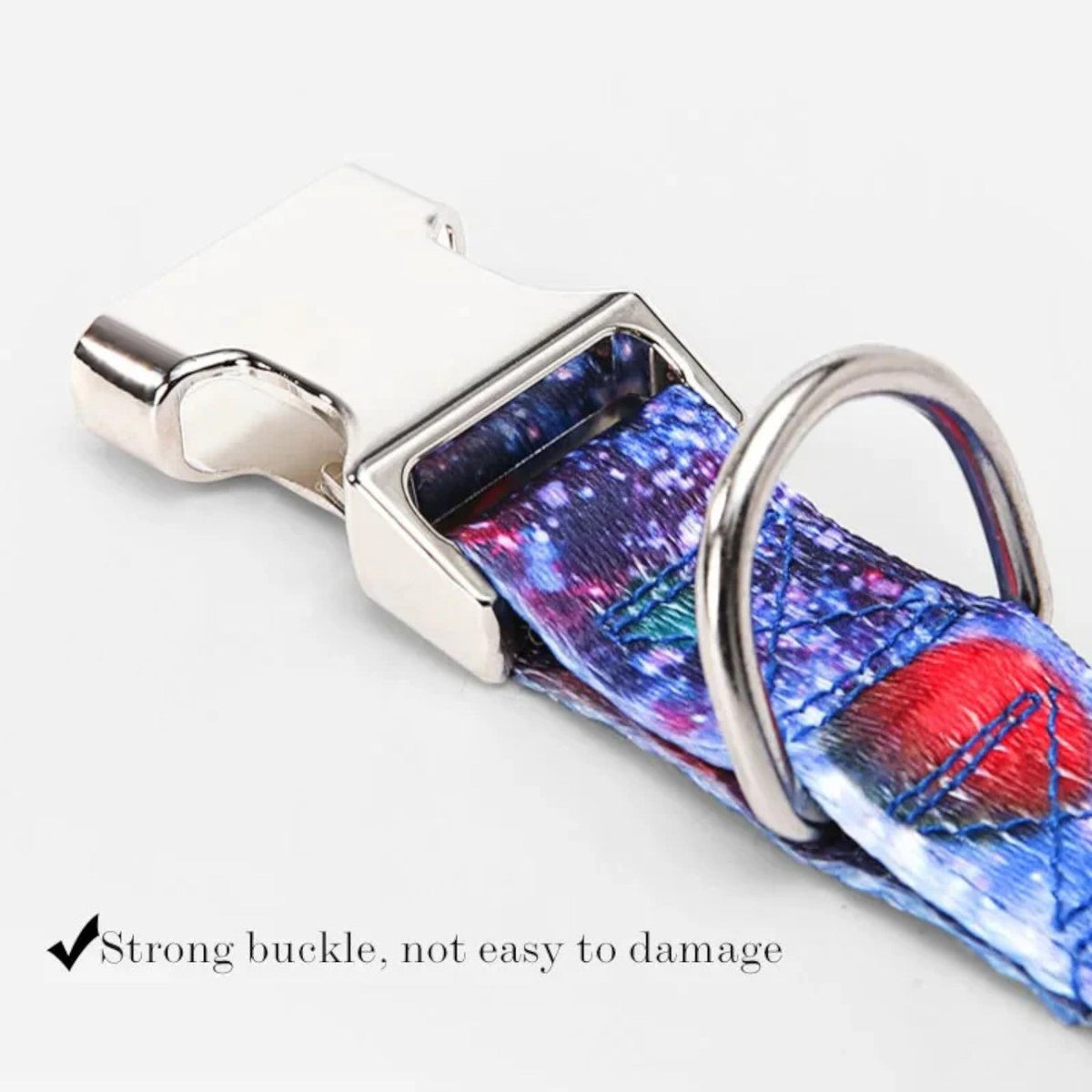 French-Bulldog-Collar-Leash-Duo.jpg