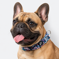 French-Bulldog-Cotton-Padded-Floral-Collar.jpg