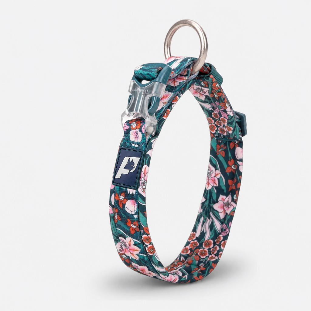 French-Bulldog-Cotton-Padded-Floral-Collar.jpg