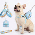 French-Bulldog-Harness-Leash-Set.jpg
