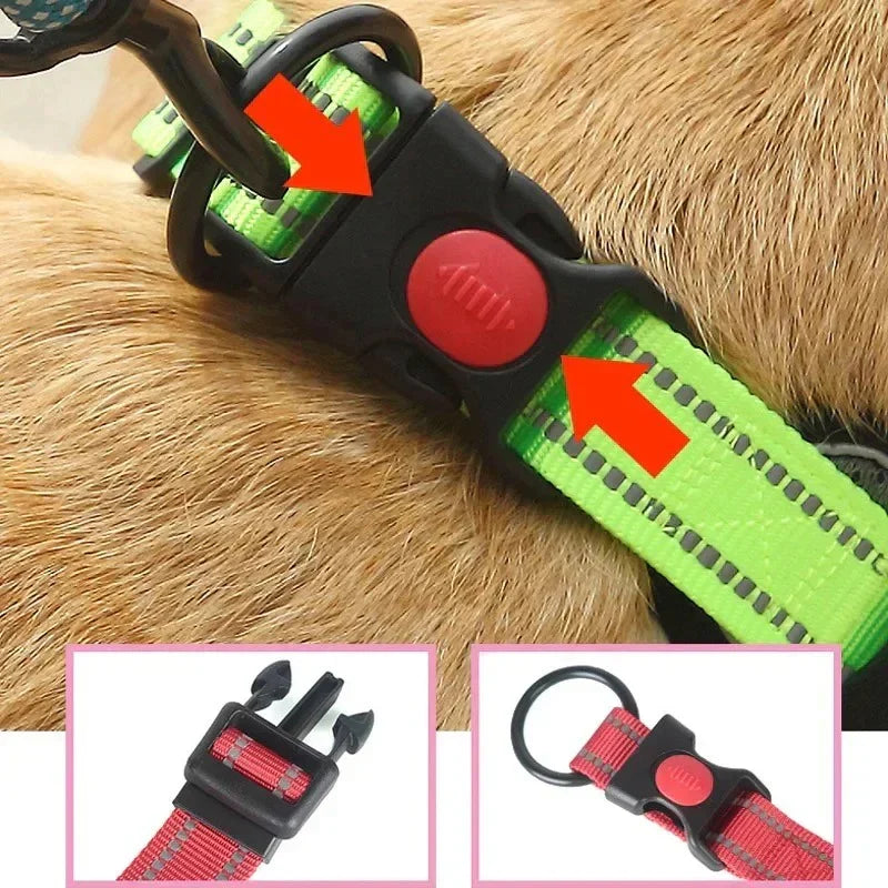 French-Bulldog-Reflective-No-Pull-Collar.jpg