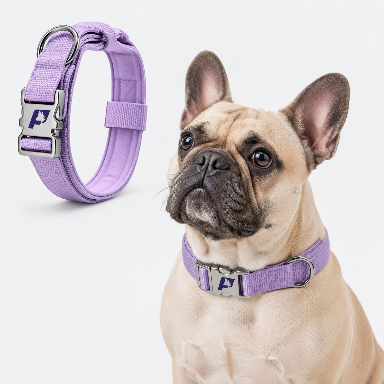 French-Bulldog-Tactical-No-Pull-Collar.jpg