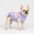 French-Bulldog-Windproof-Padded-Winter-Coat.jpg