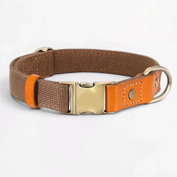 Frenchie-Premium-No-Pull-Harness-Collar-Leash-Set.jpg