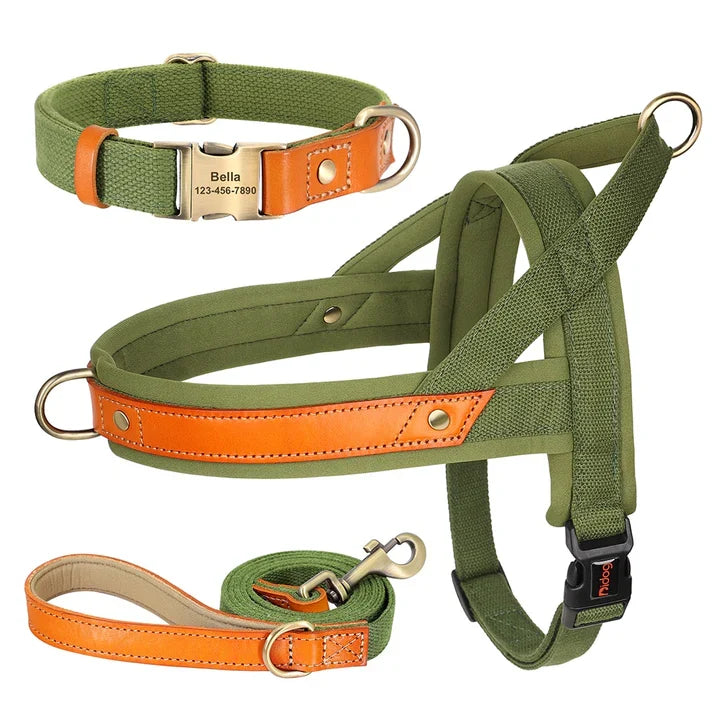 Frenchie-Premium-No-Pull-Harness-Collar-Leash-Set.jpg