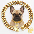 Frenchie-18K-Gold-Plated-Chain-Necklace.jpg