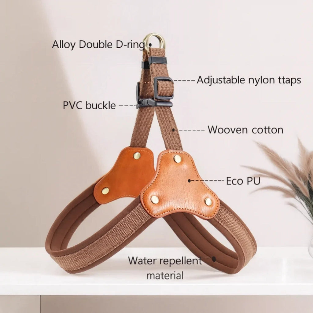 Frenchie-Adjustable-Harness-Leash-Set.jpg