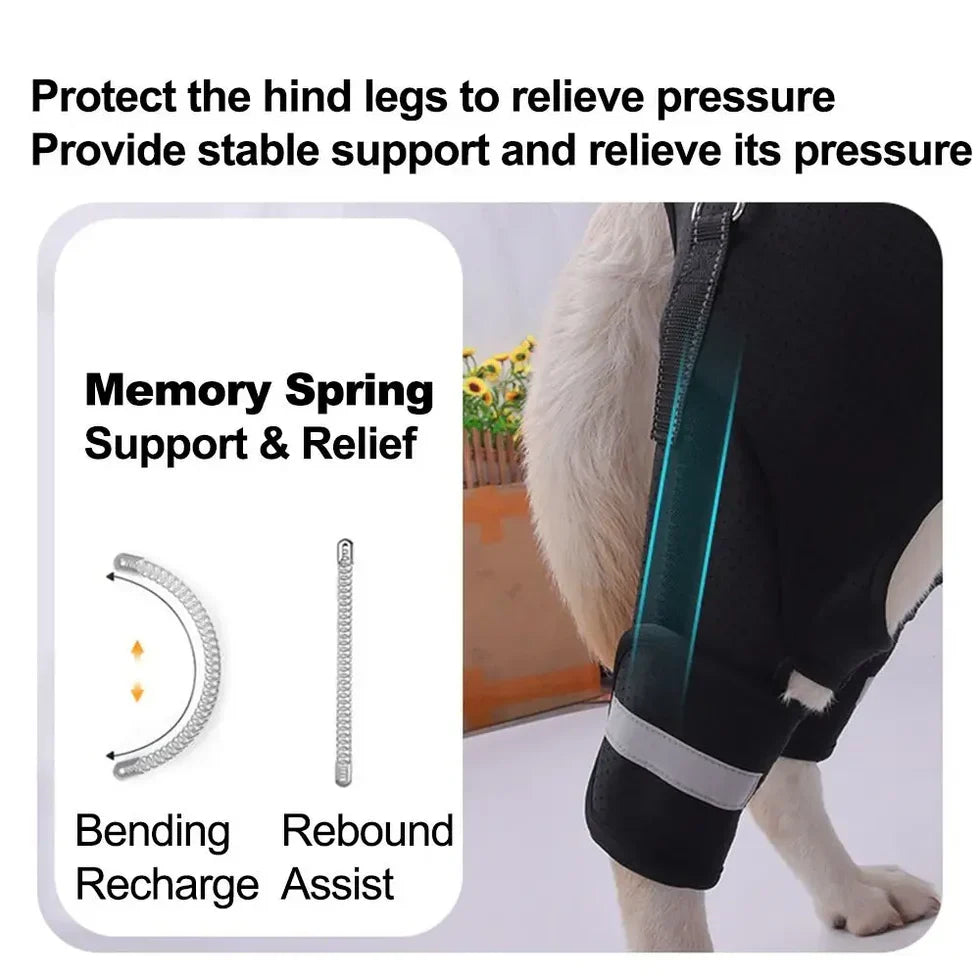 Frenchie-Adjustable-Hind-Leg-Support-Harness.jpg