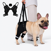 Frenchie-Adjustable-Hind-Leg-Support-Harness.jpg