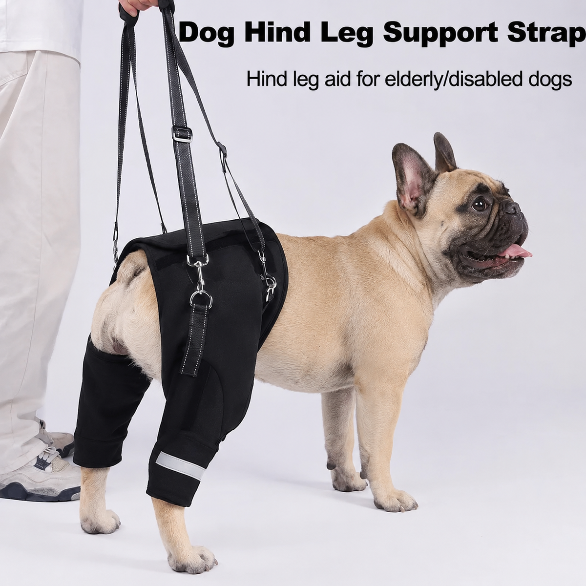Frenchie-Adjustable-Hind-Leg-Support-Harness.jpg