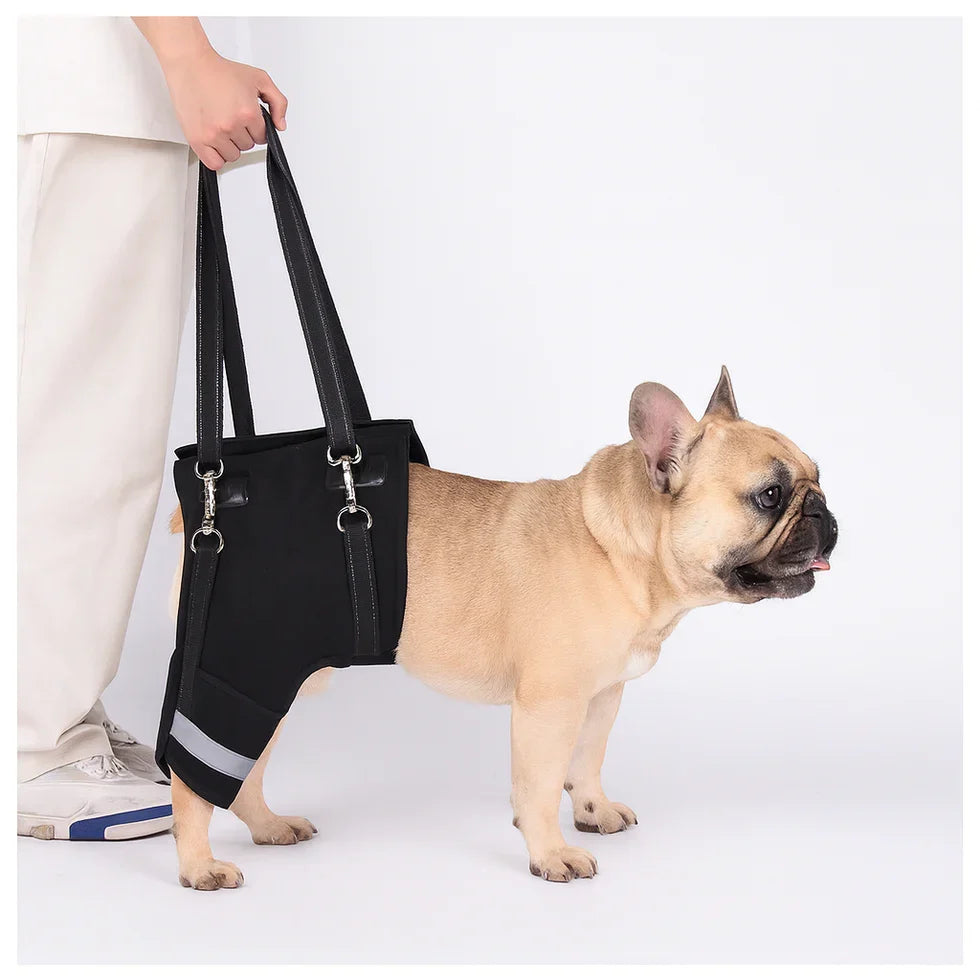 Frenchie-Adjustable-Hind-Leg-Support-Harness.jpg