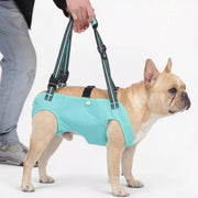 Frenchie-Adjustable-Lift-Harness.jpg