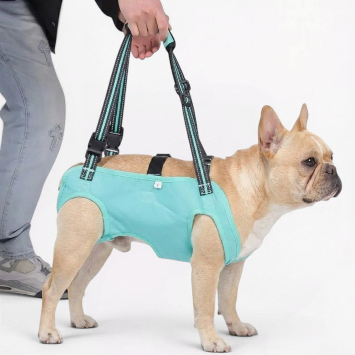 Frenchie-Adjustable-Lift-Harness.jpg