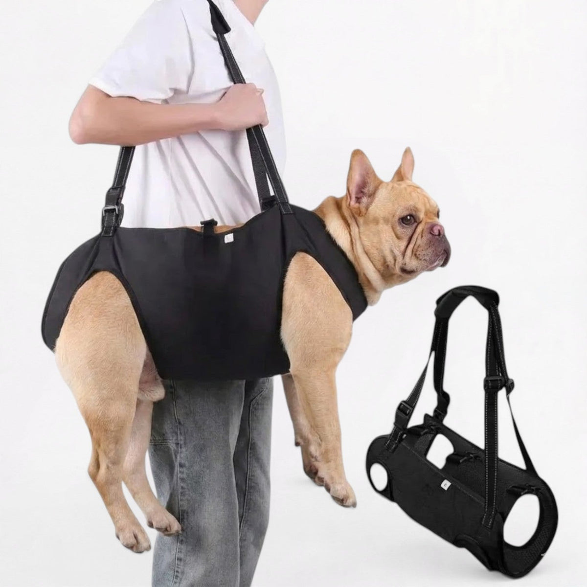 Frenchie-Adjustable-Lift-Harness.jpg