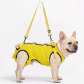 Frenchie-Adjustable-Lift-Support-Harness.jpg