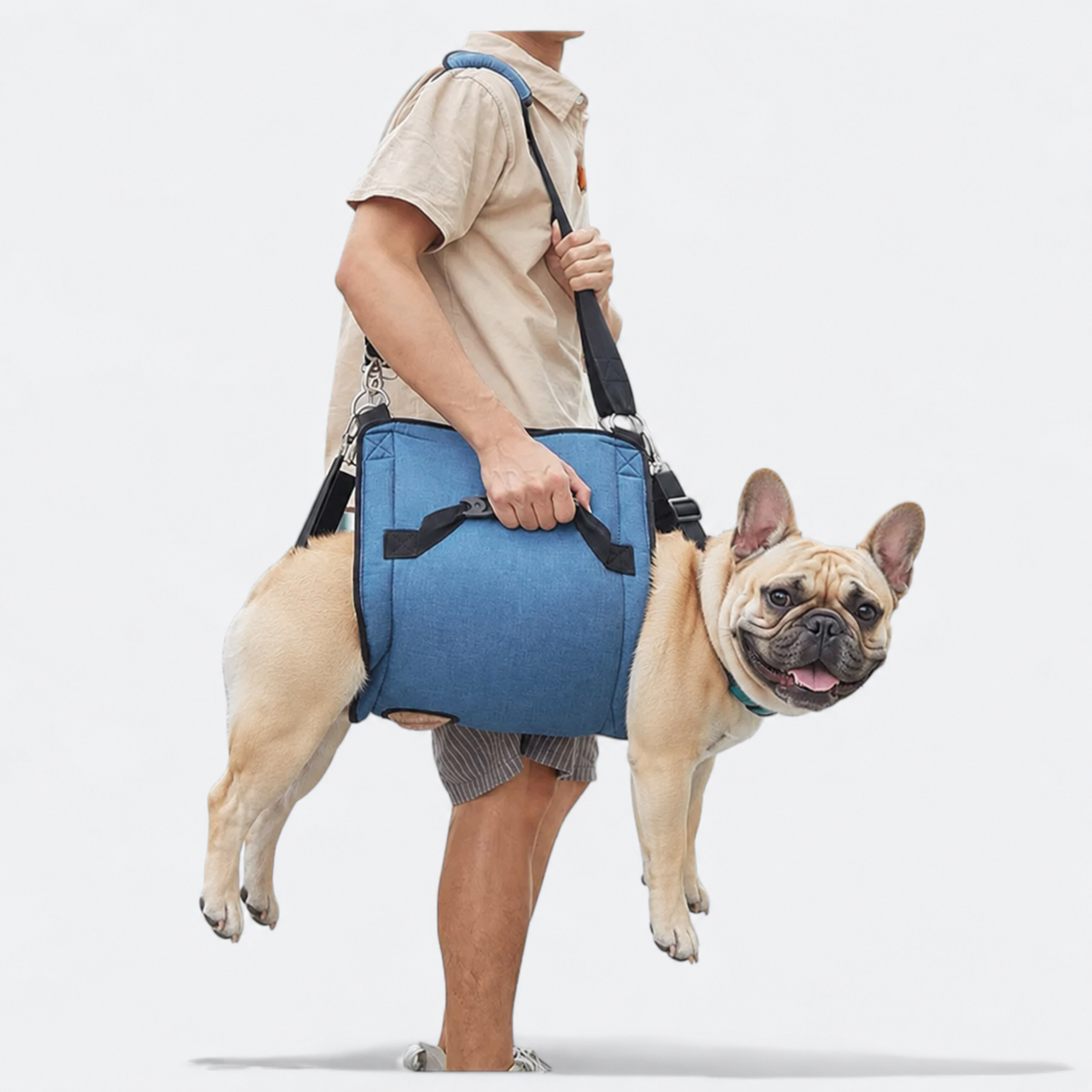 Frenchie-Adjustable-Lift-Support-Harness.jpg