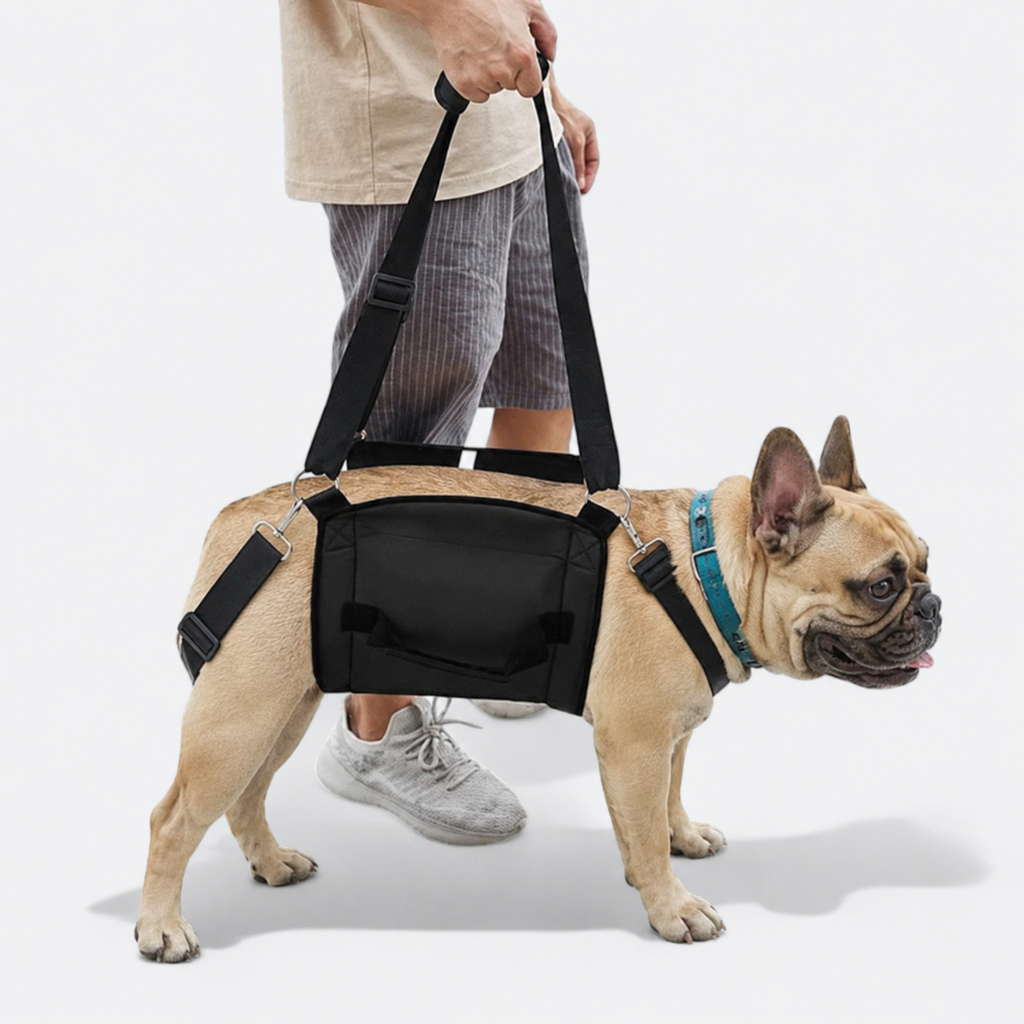 Frenchie-Adjustable-Lift-Support-Harness.jpg