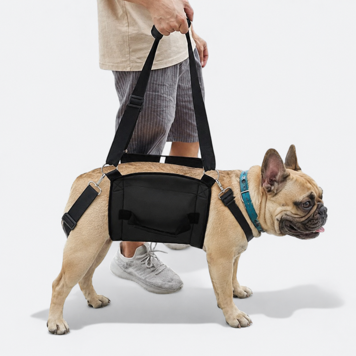 Frenchie-Adjustable-Lift-Support-Harness.jpg