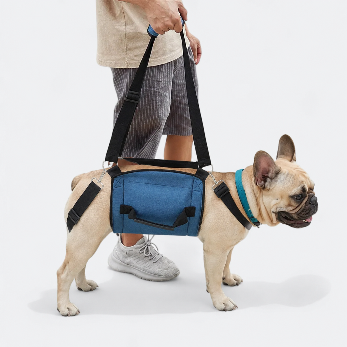 Frenchie-Adjustable-Lift-Support-Harness.jpg