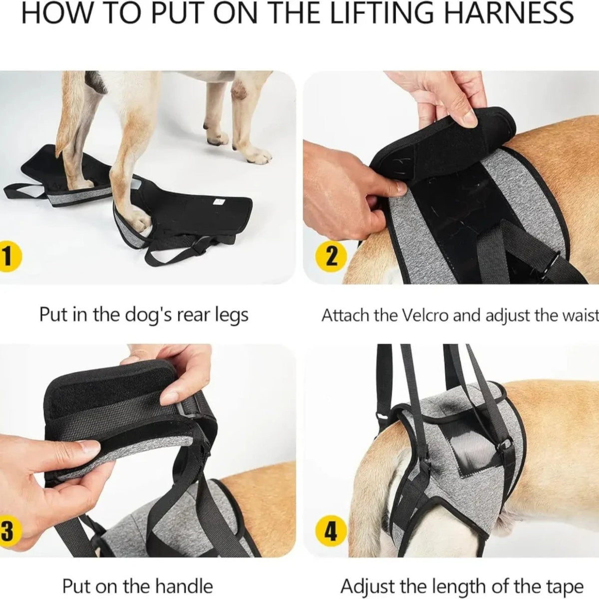 Frenchie-Adjustable-Rear-Leg-Lift-Harness.jpg
