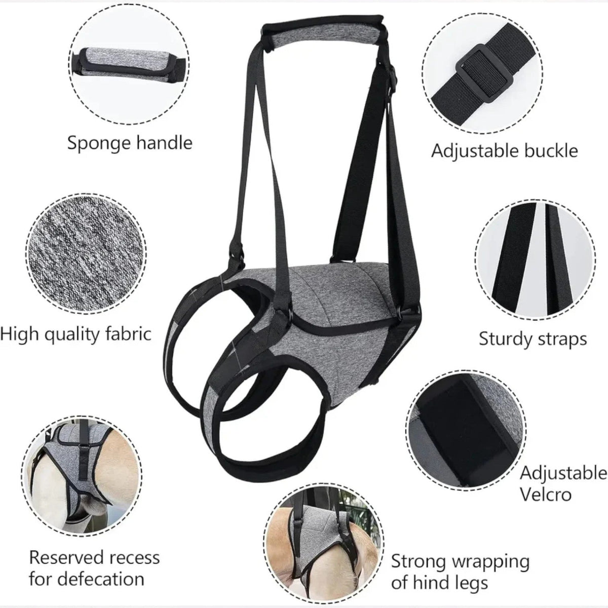 Frenchie-Adjustable-Rear-Leg-Lift-Harness.jpg