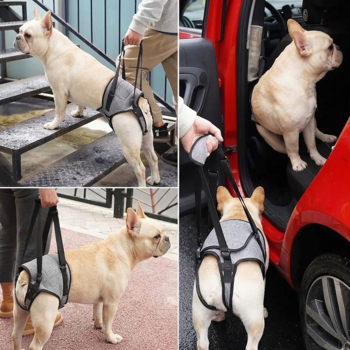 Frenchie-Adjustable-Rear-Leg-Lift-Harness.jpg