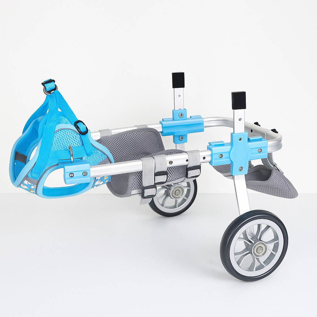 Frenchie-Adjustable-Wheelchair.jpg