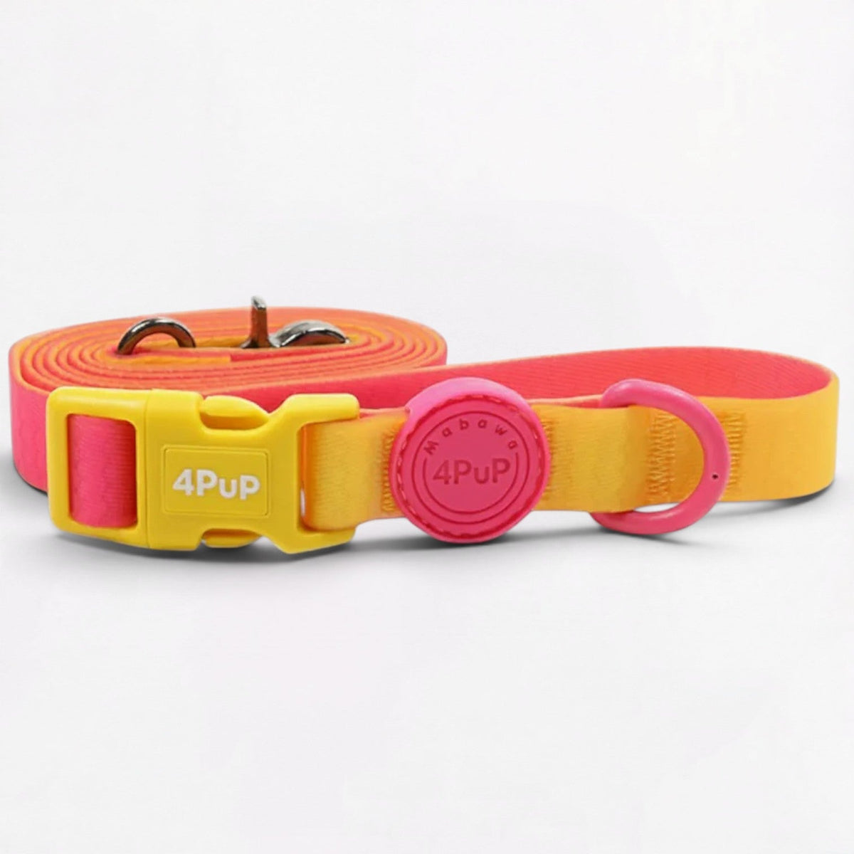 Frenchie-Anti-Fouling-Collar-Leash-Set.jpg