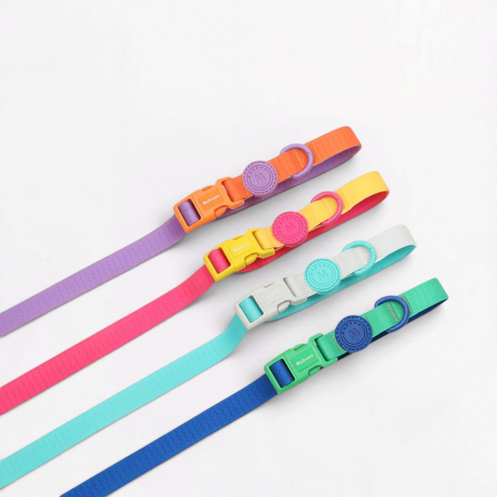 Frenchie-Anti-Fouling-Collar-Leash-Set.jpg