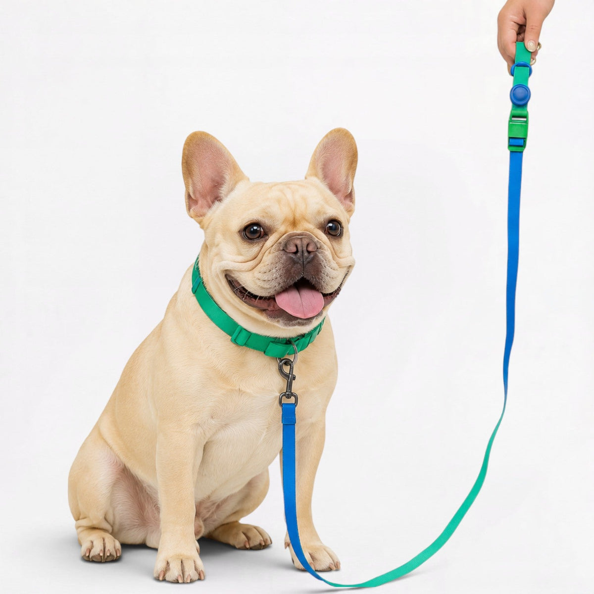 Frenchie-Anti-Fouling-Collar-Leash-Set.jpg