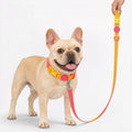 Frenchie-Anti-Fouling-Collar-Leash-Set.jpg