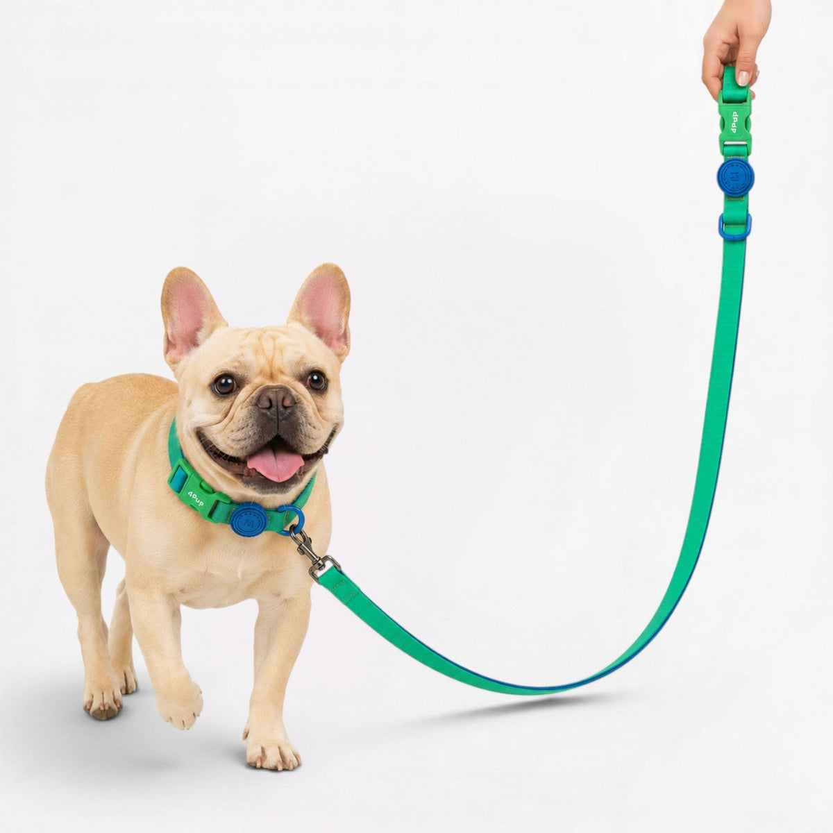 Frenchie-Anti-Fouling-Collar-Leash-Set.jpg