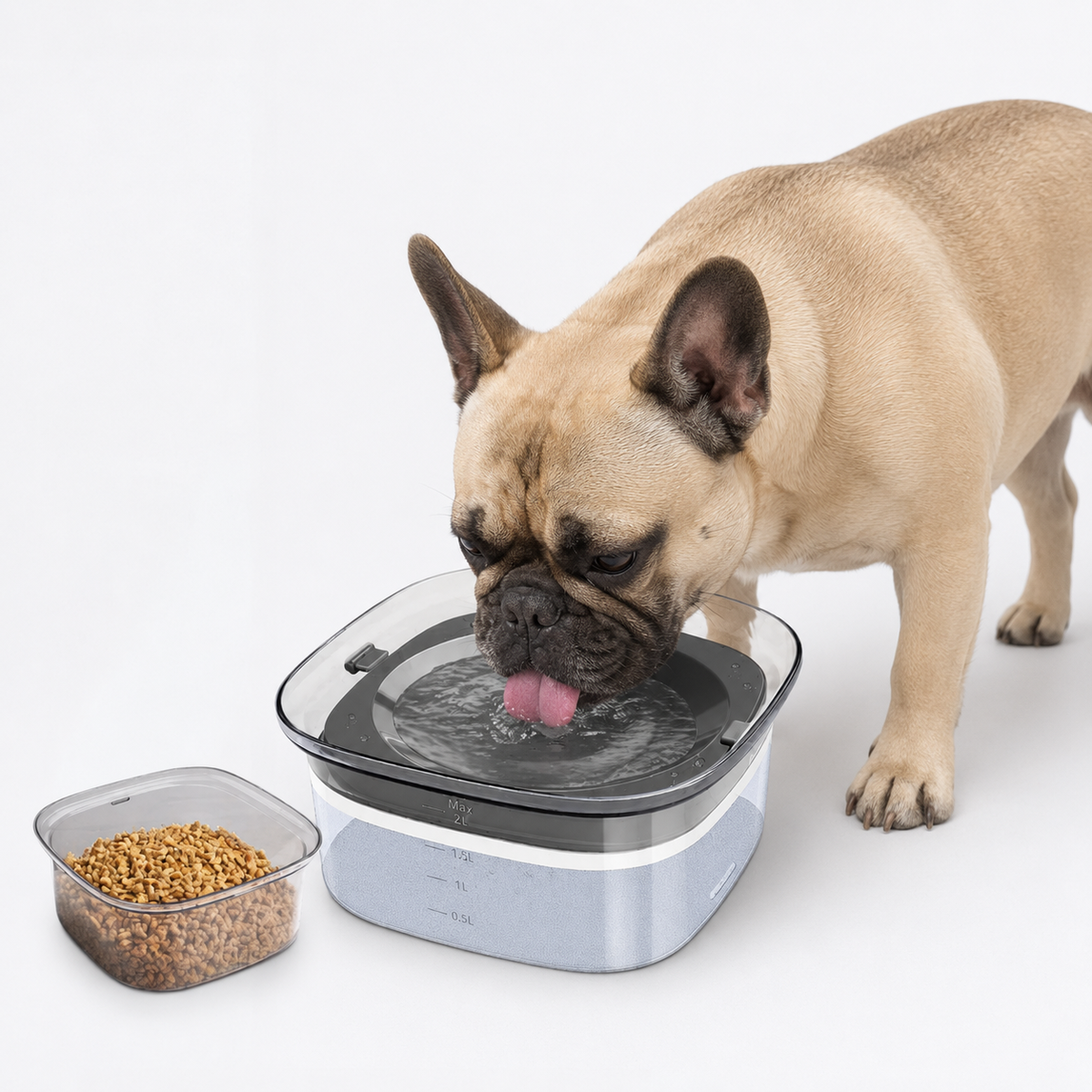Frenchie-Anti-Splash-Floating-Water-Bowl.jpg