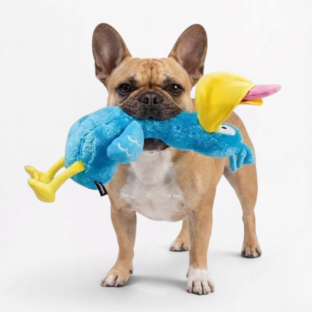 Frenchie-Big-DaDa-Bird-Squeaky-Toy.jpg