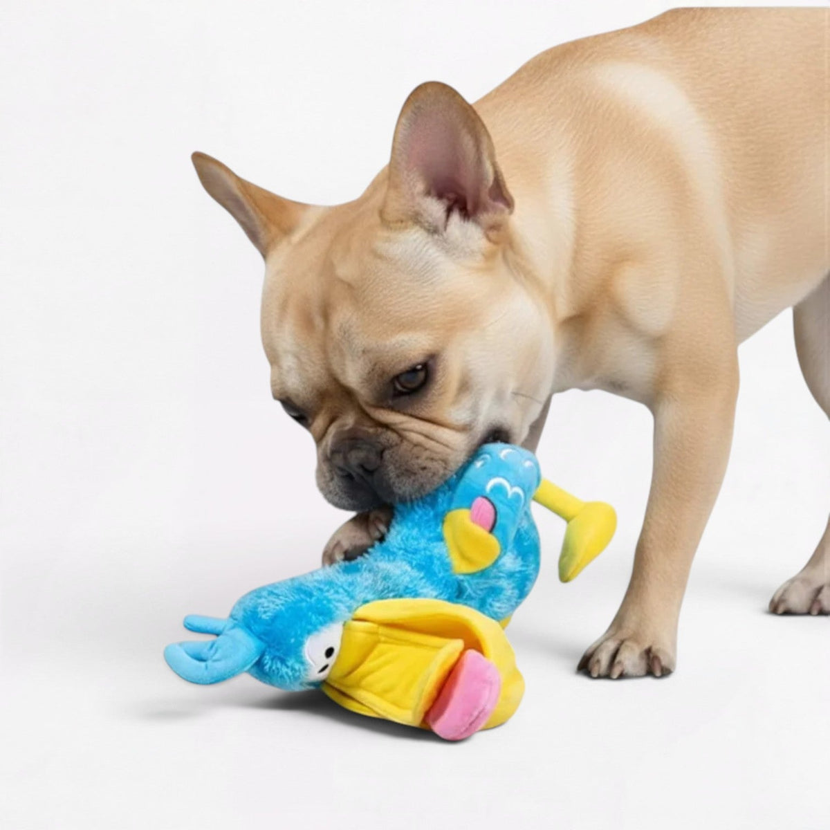 Frenchie-Big-DaDa-Bird-Squeaky-Toy.jpg